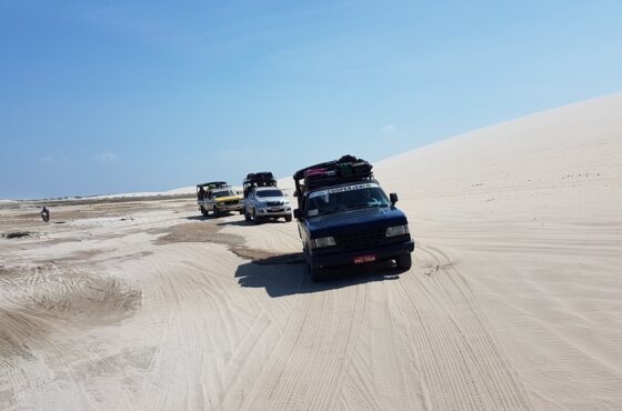 Small desert day trip from Agadir​