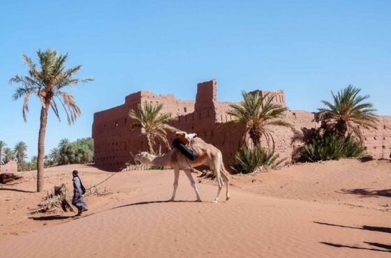 Marrakech to Merzouga 4-Day Tour: Complete Desert Experience
