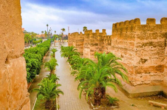 Taroudant Tiout Day Tour from Agadir: Best 8-Hour Adventure