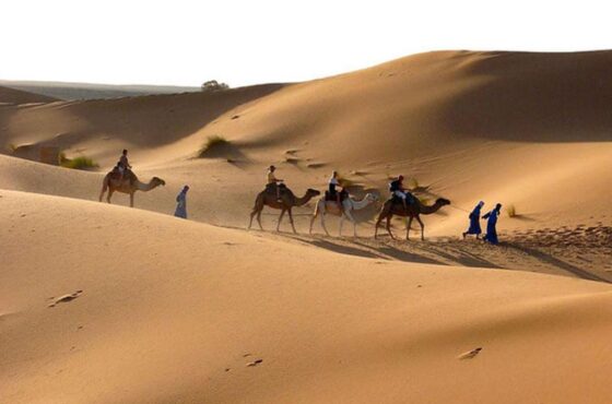 Marrakech to Zagora Desert 2-Day Tour: Complete Sahara Experience