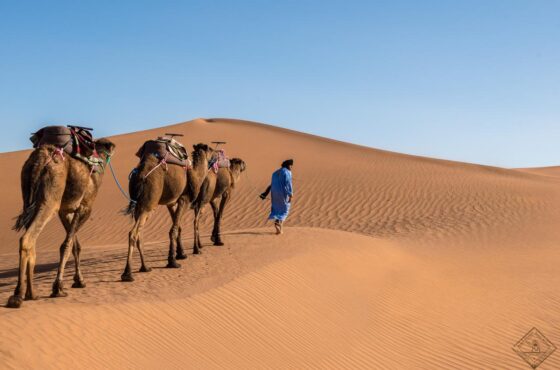 3-Day Tour from Marrakech to Erg Chigaga Desert: Ultimate Sahara Adventure