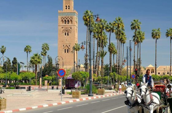 Marrakech Full Day Guided City Tour: Ultimate 10-Hour Imperial Adventure