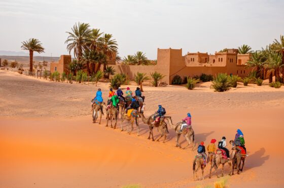6-Day Tour from Agadir to the Desert via Ouarzazate: Complete Southern Morocco Adventure