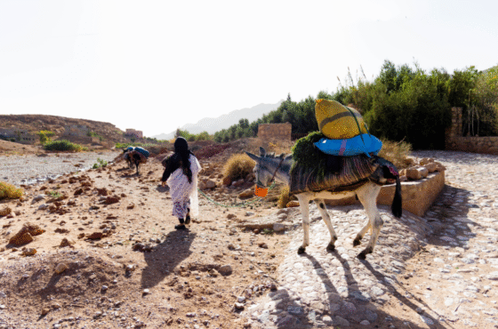 Morocco Tour with Yoga: 8-Day Adventure Through Desert, Mountains, and Culture