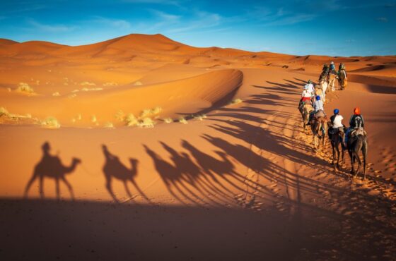 Morocco Tours: 8-Day Ultimate Adventure Through Desert, Mountains, and Cities
